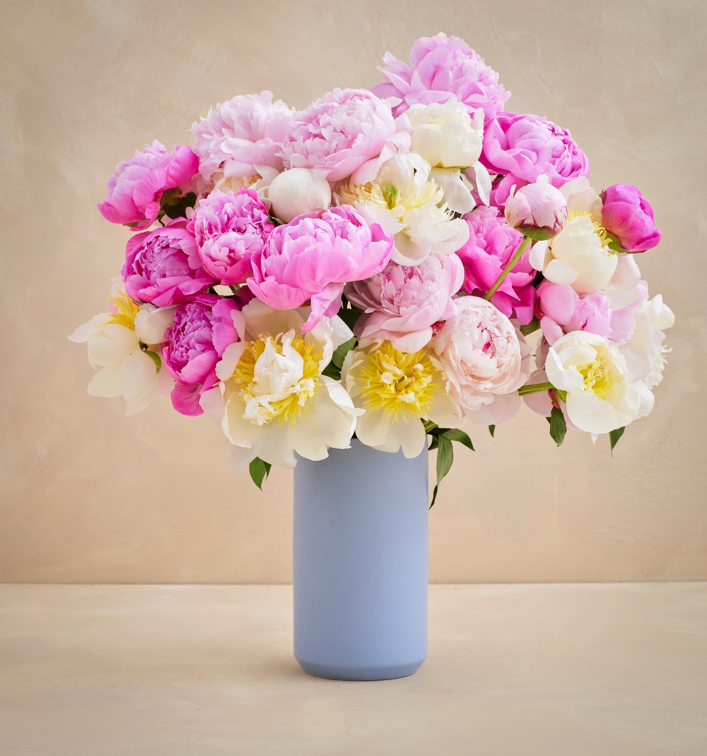 CL - The Grower's Choice Peony