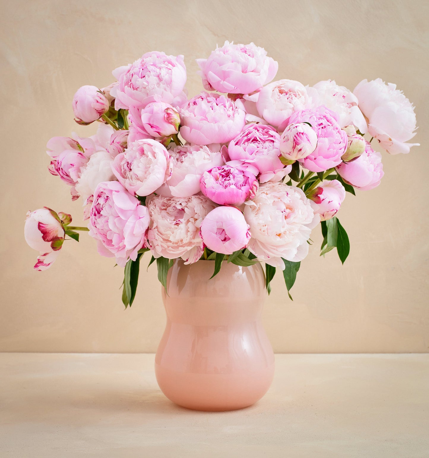 CL - The Peony