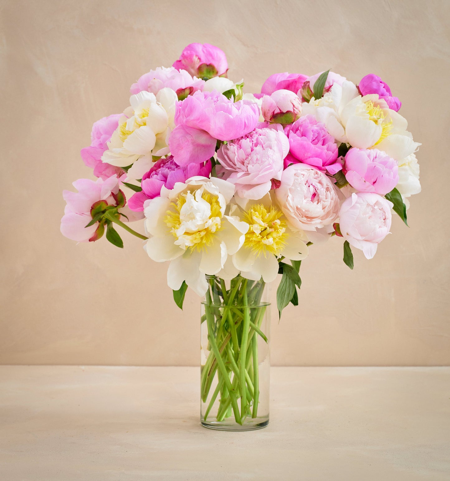 CL - The Grower's Choice Peony