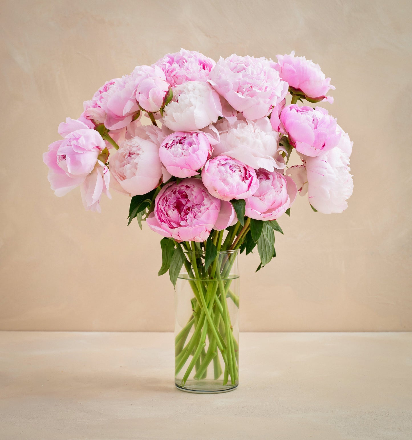 Double the Peony