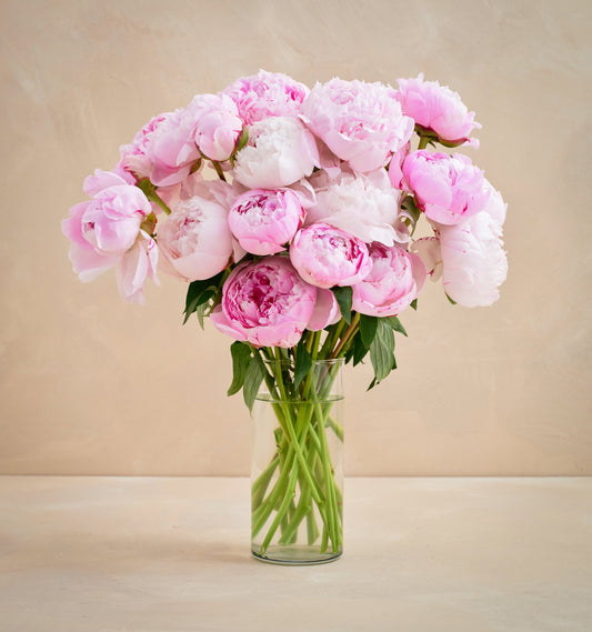 Double the Peony