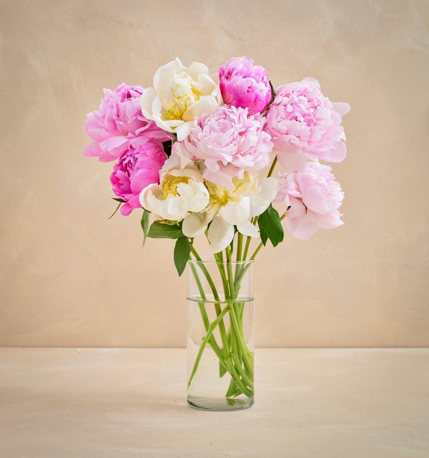 CL - The Grower's Choice Peony