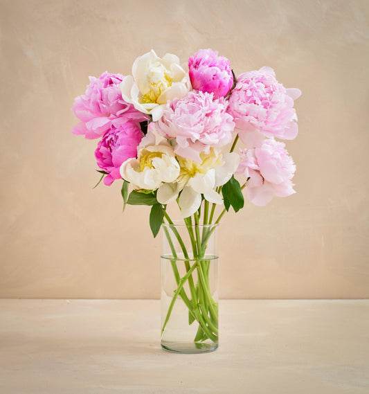 CL - The Grower's Choice Peony